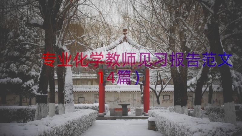 专业化学教师见习报告范文（14篇）