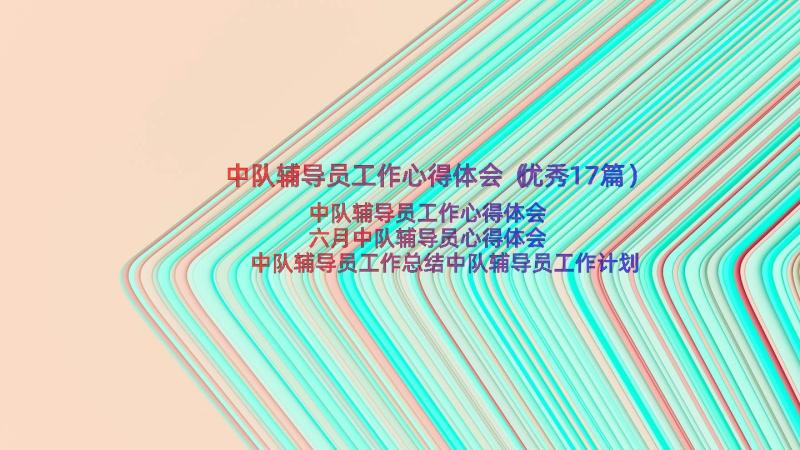 中队辅导员工作心得体会（优秀17篇）