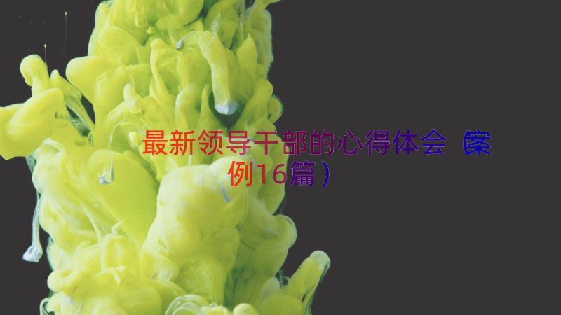 最新领导干部的心得体会（案例16篇）