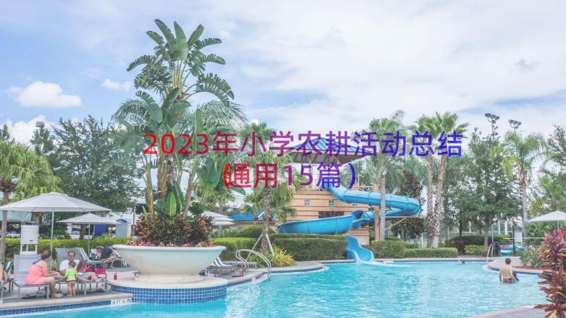 2023年小学农耕活动总结（通用15篇）