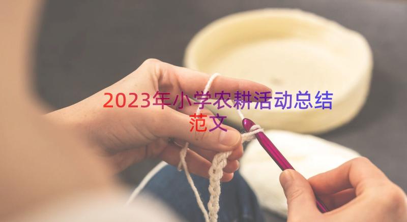 2023年小学农耕活动总结范文（18篇）