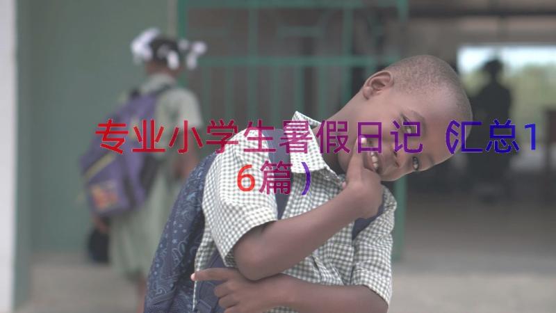 专业小学生暑假日记（汇总16篇）