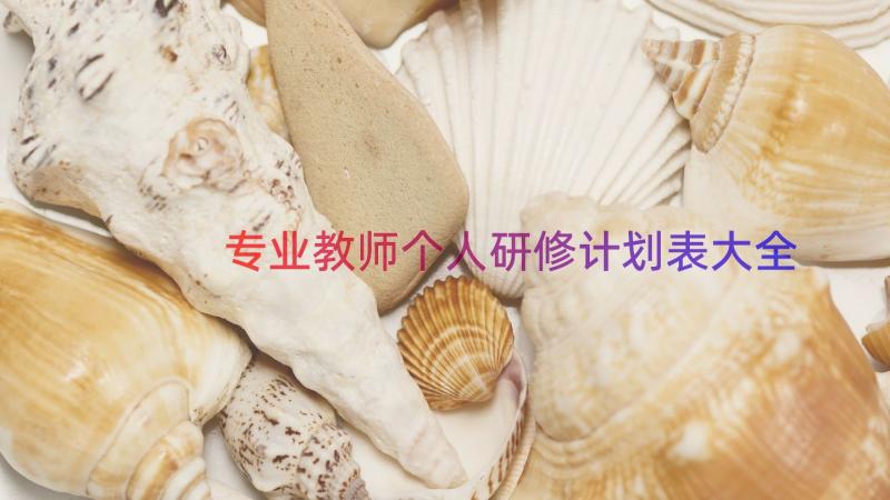 专业教师个人研修计划表大全（17篇）