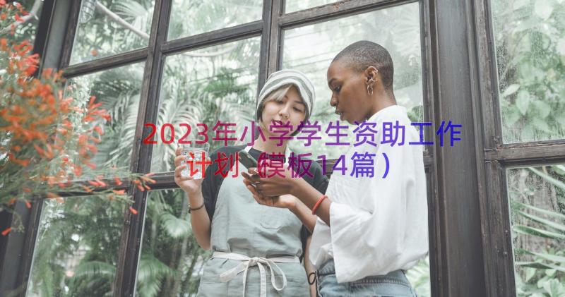 2023年小学学生资助工作计划（模板14篇）