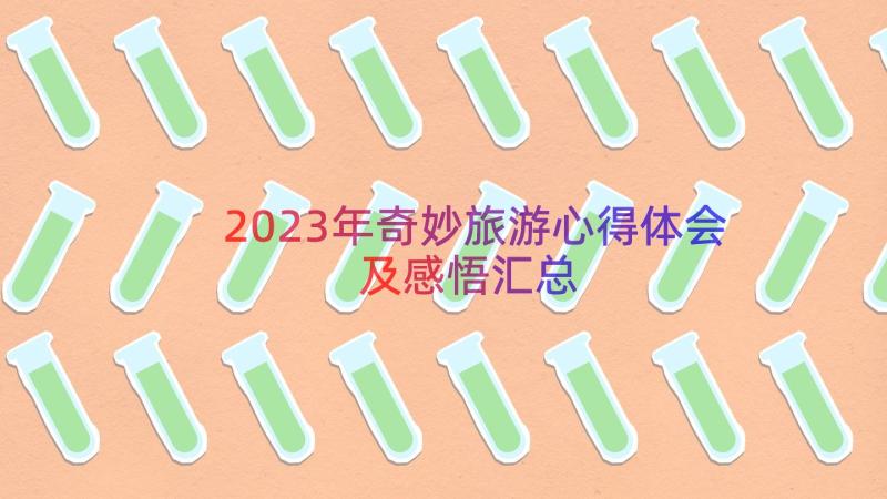 2023年奇妙旅游心得体会及感悟（汇总16篇）