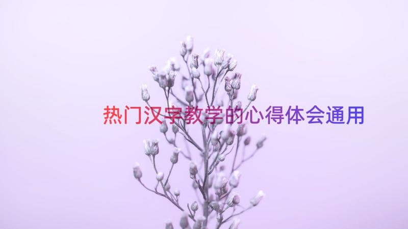 热门汉字教学的心得体会（通用16篇）