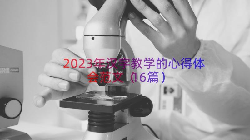 2023年汉字教学的心得体会范文