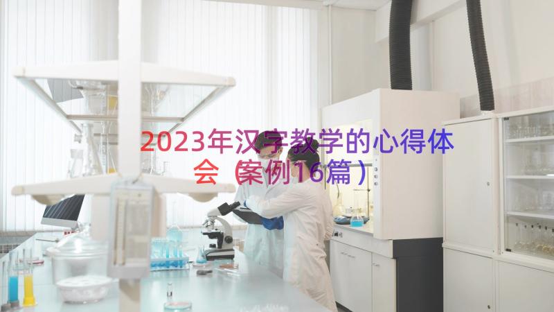 2023年汉字教学的心得体会（案例16篇）
