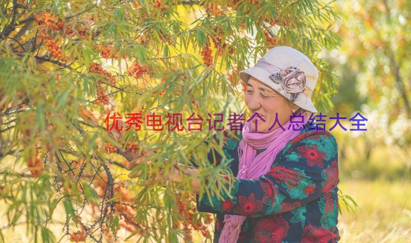 优秀电视台记者个人总结大全（15篇）