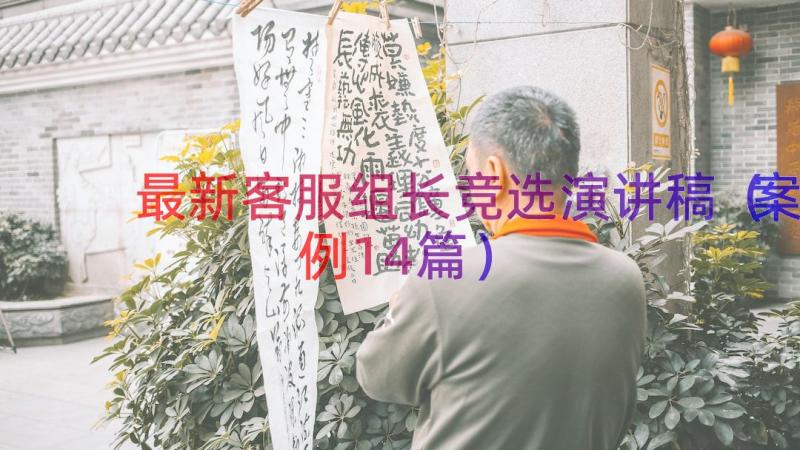 最新客服组长竞选演讲稿（案例14篇）