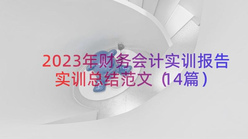 2023年财务会计实训报告实训总结范文（14篇）