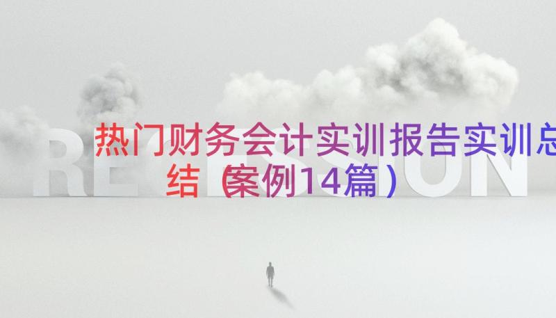 热门财务会计实训报告实训总结（案例14篇）