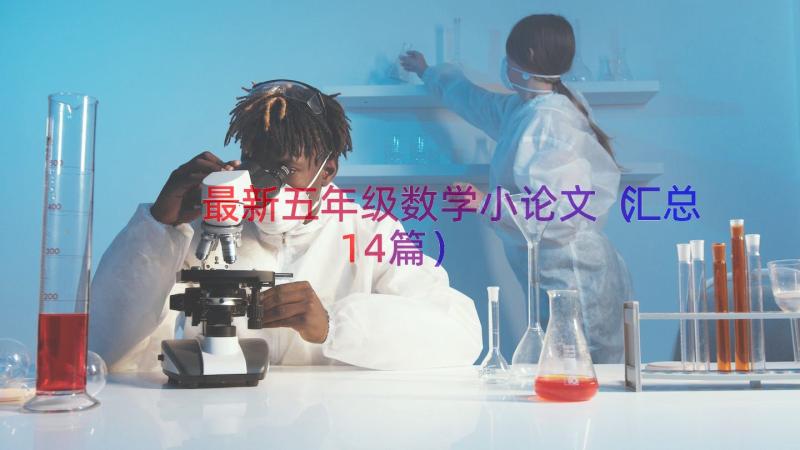 最新五年级数学小论文（汇总14篇）