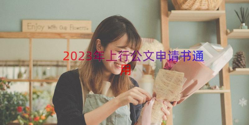 2023年上行公文申请书（通用16篇）