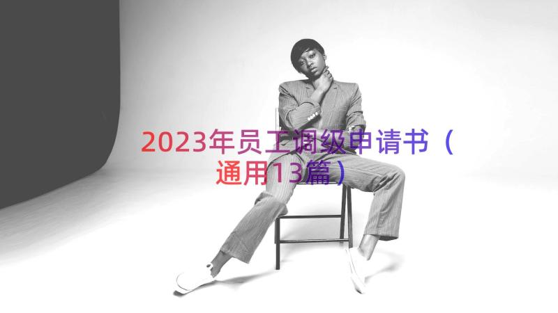 2023年员工调级申请书（通用13篇）