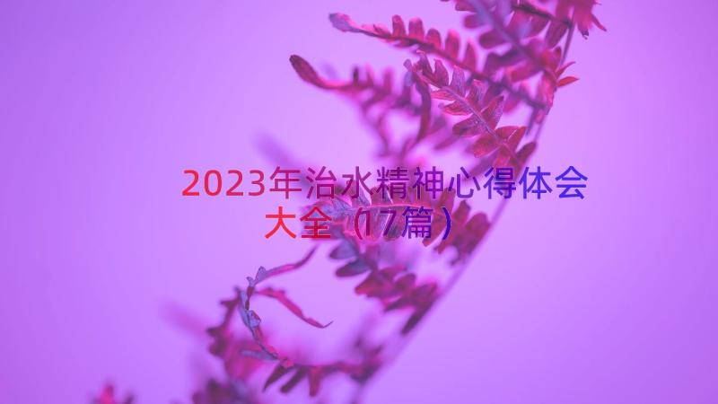 2023年治水精神心得体会大全（17篇）