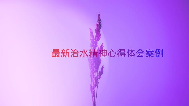 最新治水精神心得体会（案例16篇）