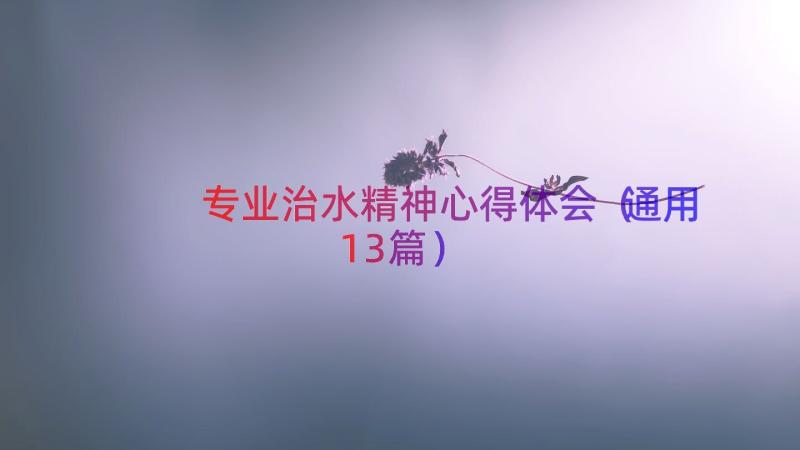 专业治水精神心得体会（通用13篇）