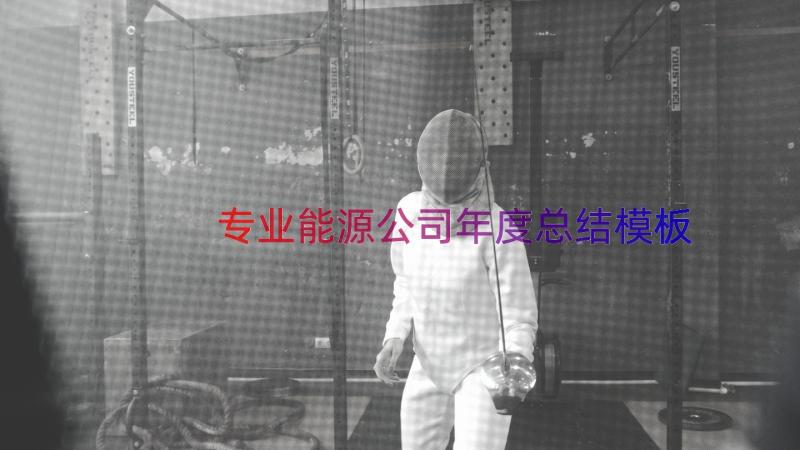 专业能源公司年度总结（模板12篇）