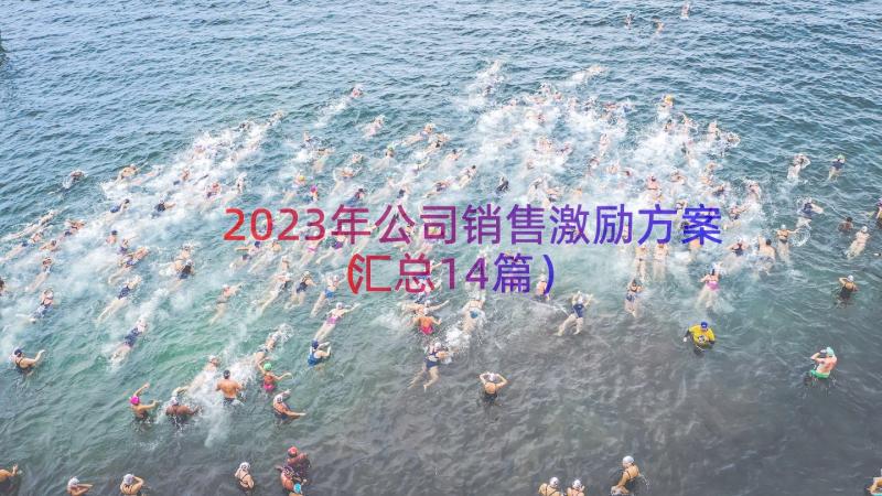 2023年公司销售激励方案（汇总14篇）