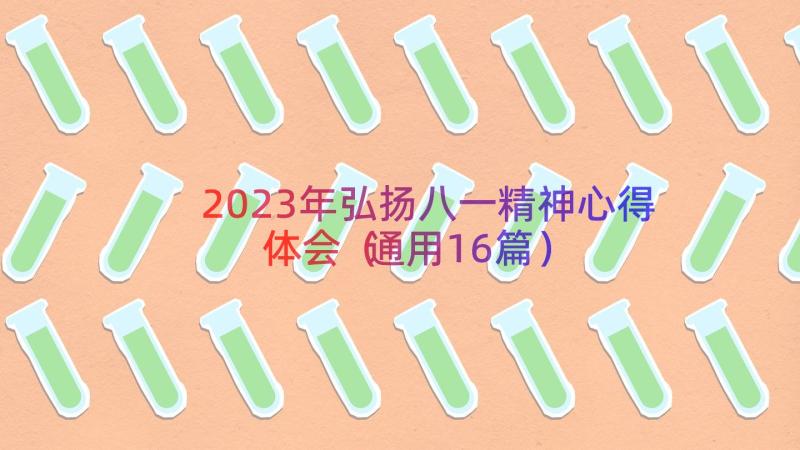 2023年弘扬八一精神心得体会（通用16篇）