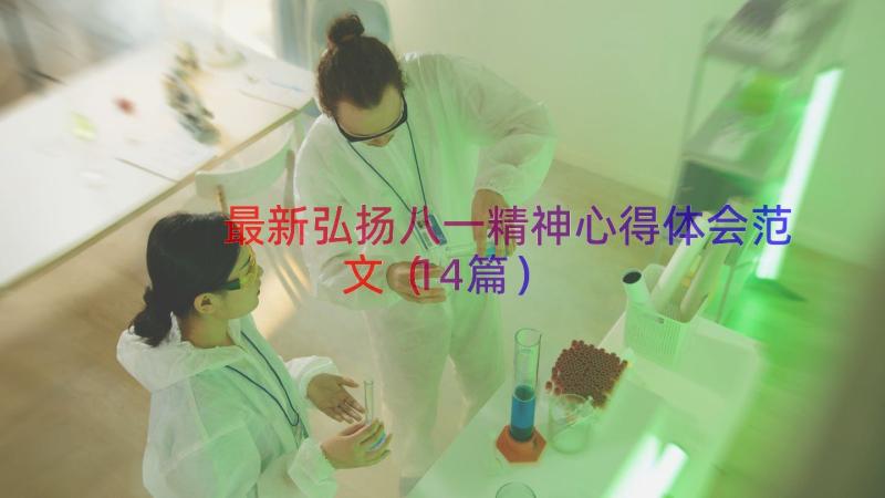 最新弘扬八一精神心得体会范文（14篇）