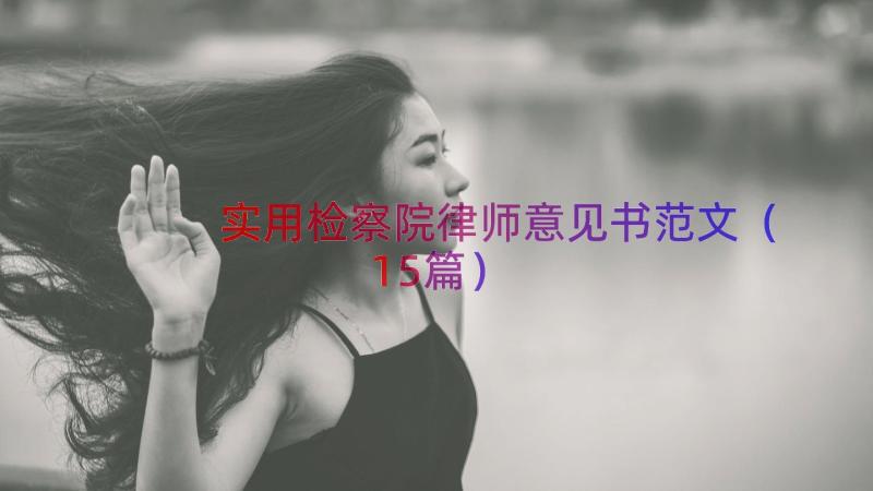 实用检察院律师意见书范文（15篇）