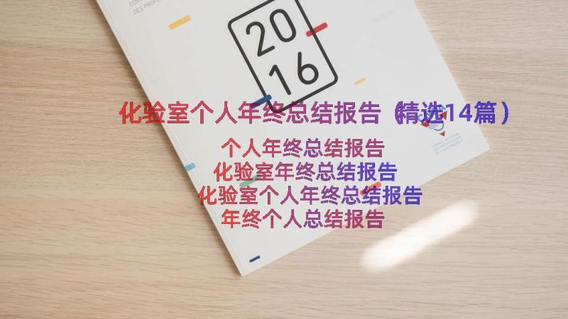 化验室个人年终总结报告（精选14篇）