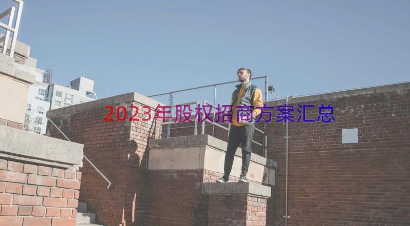 2023年股权招商方案（汇总16篇）