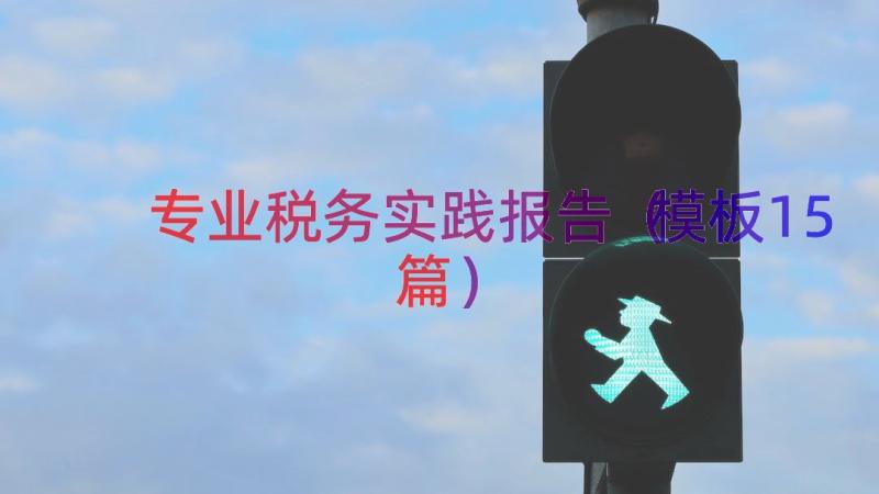 专业税务实践报告（模板15篇）