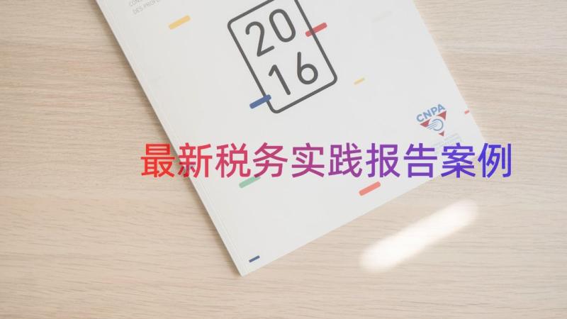 最新税务实践报告（案例16篇）