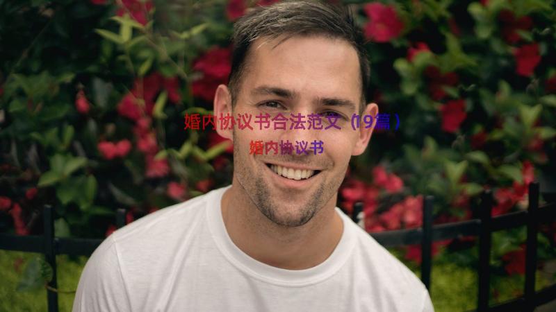 婚内协议书合法范文（19篇）