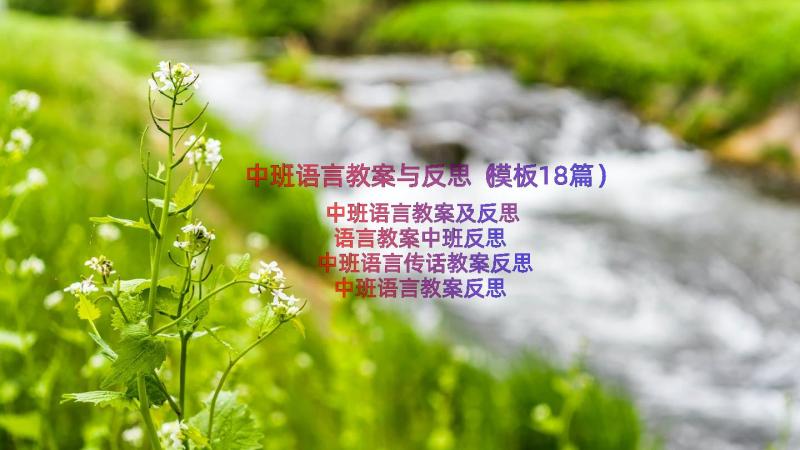 中班语言教案与反思（模板18篇）