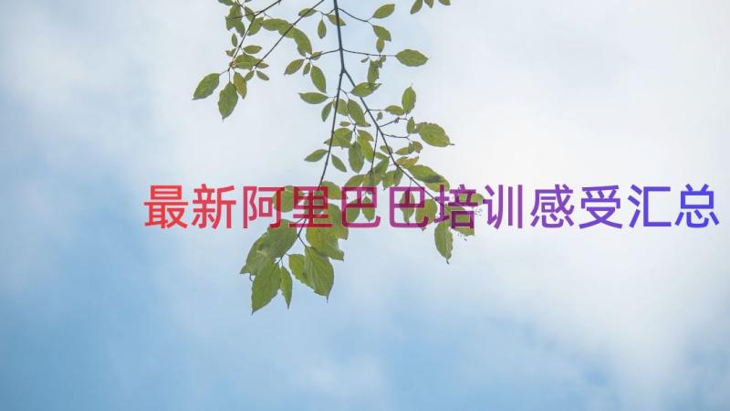 最新阿里巴巴培训感受（汇总15篇）