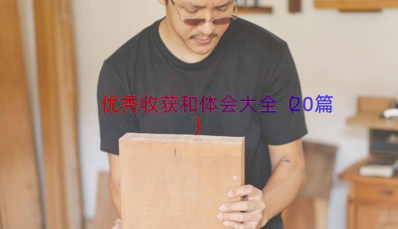 优秀收获和体会大全（20篇）