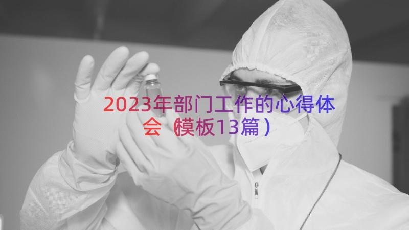 2023年部门工作的心得体会（模板13篇）