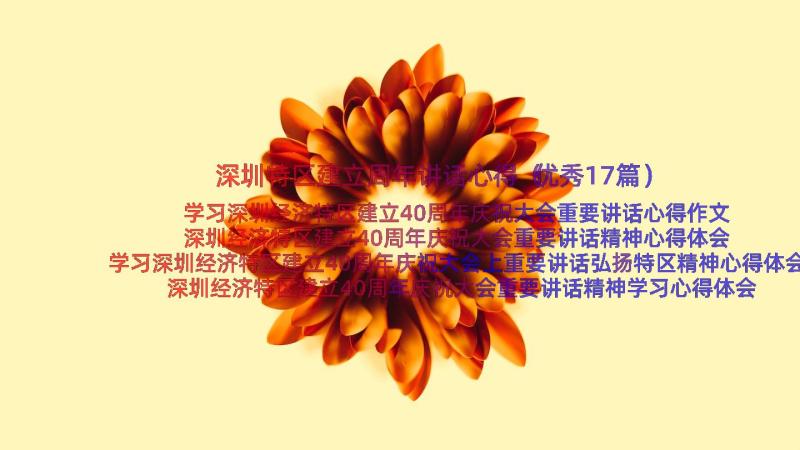 深圳特区建立周年讲话心得（优秀17篇）