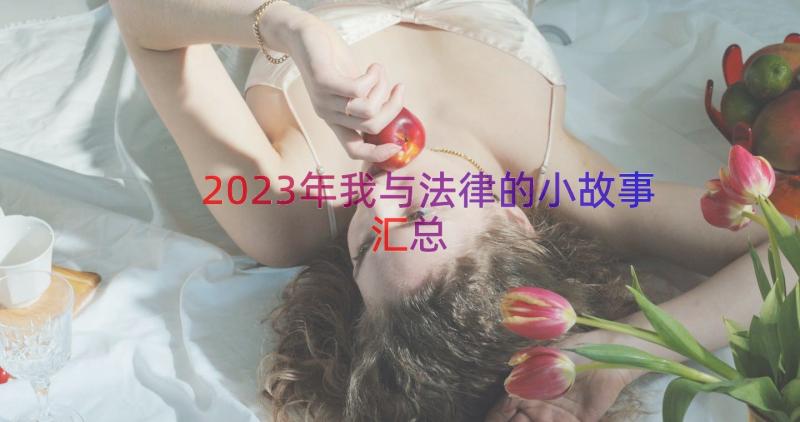 2023年我与法律的小故事（汇总19篇）