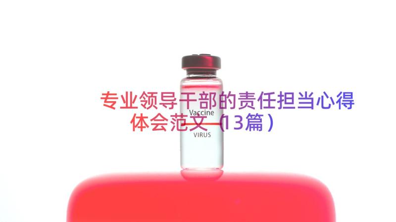 专业领导干部的责任担当心得体会范文