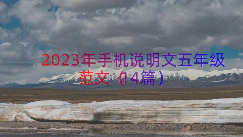 2023年手机说明文五年级范文（14篇）