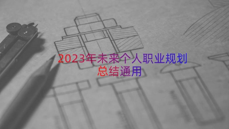 2023年未来个人职业规划总结（通用12篇）