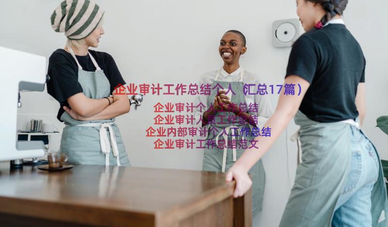 企业审计工作总结个人（汇总17篇）