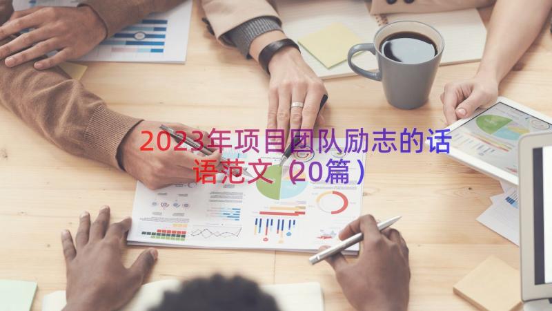 2023年项目团队励志的话语范文（20篇）