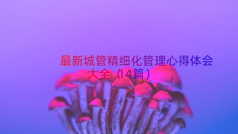 最新城管精细化管理心得体会大全（14篇）