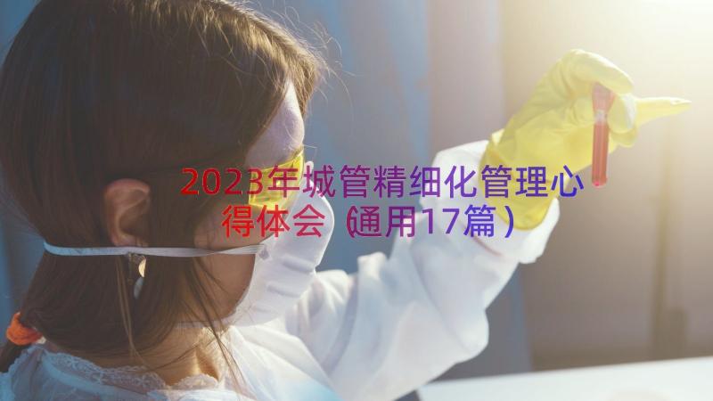 2023年城管精细化管理心得体会（通用17篇）