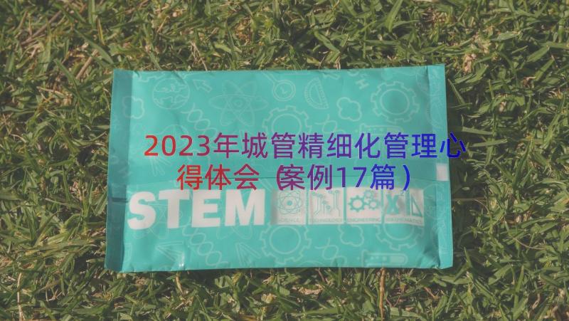 2023年城管精细化管理心得体会（案例17篇）