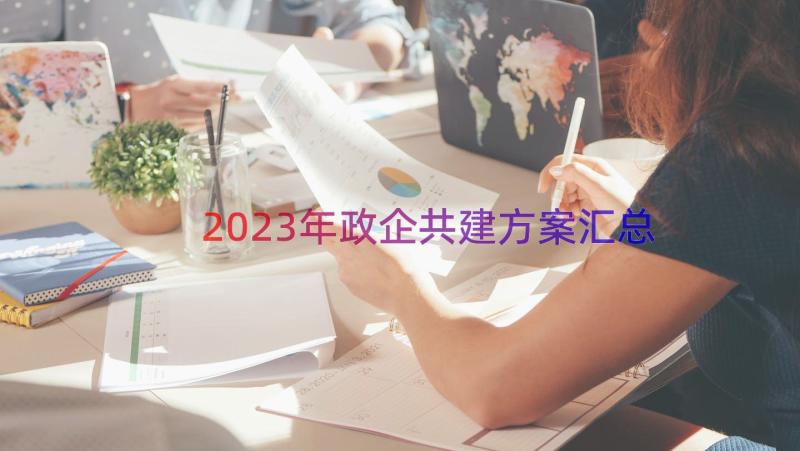 2023年政企共建方案（汇总14篇）