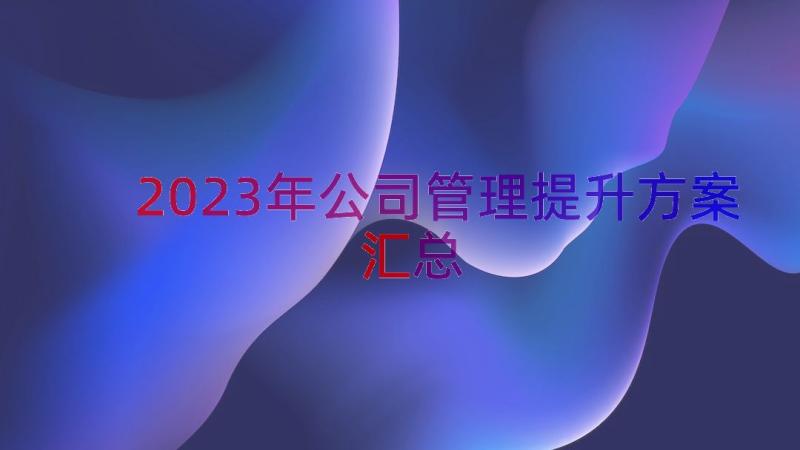 2023年公司管理提升方案（汇总12篇）