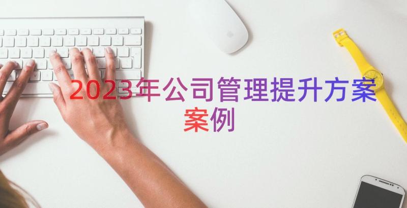 2023年公司管理提升方案（案例15篇）