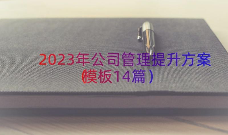 2023年公司管理提升方案（模板14篇）